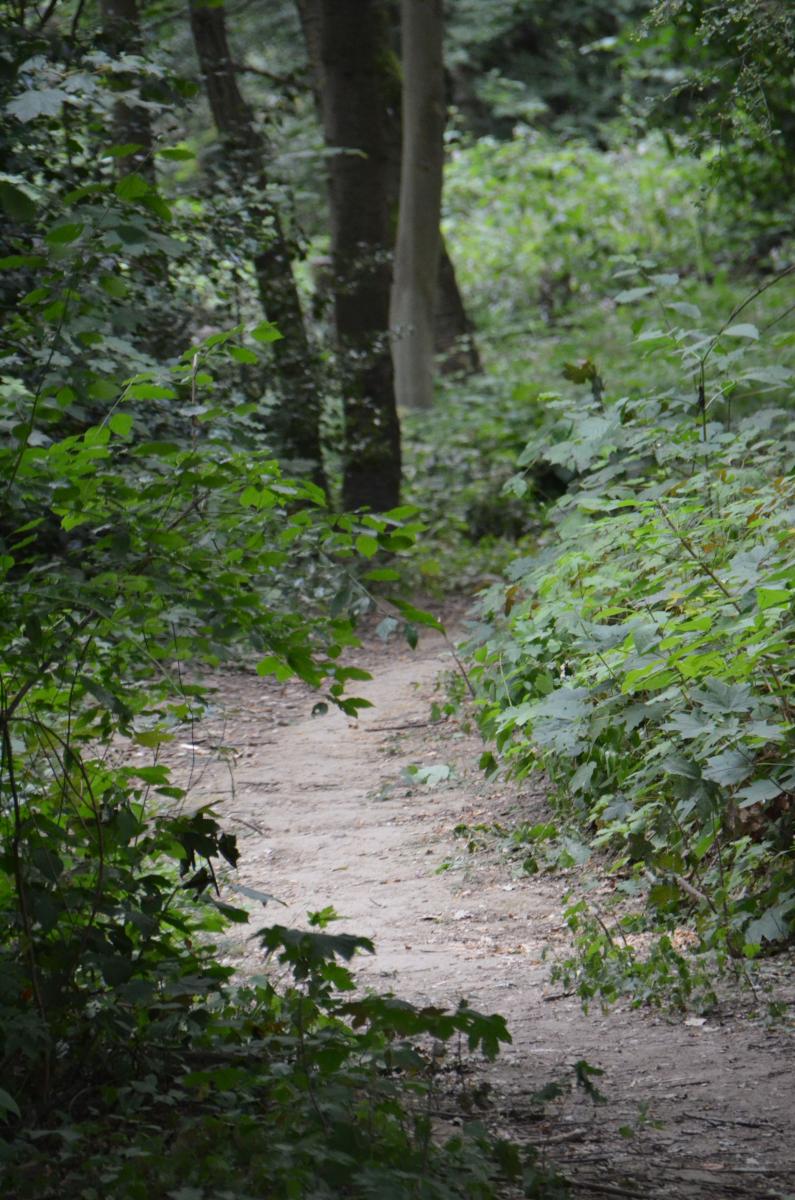 2019Weg-in-den-Grund-ladt-zum-Feierabendspaziergang-einM-Klee