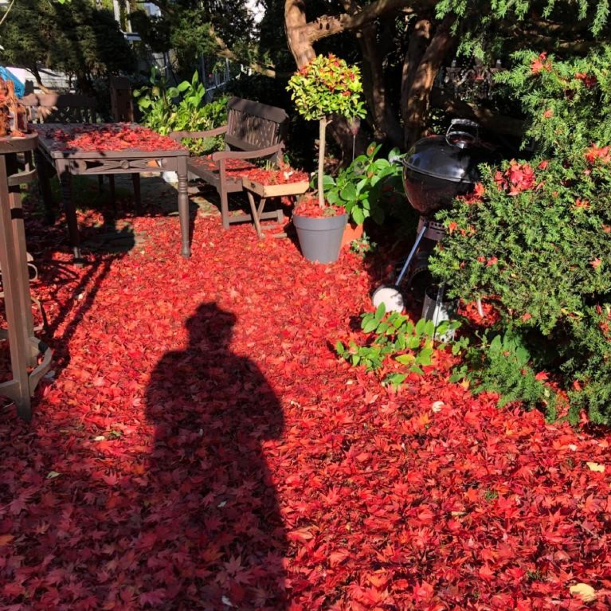 Herbst2020
